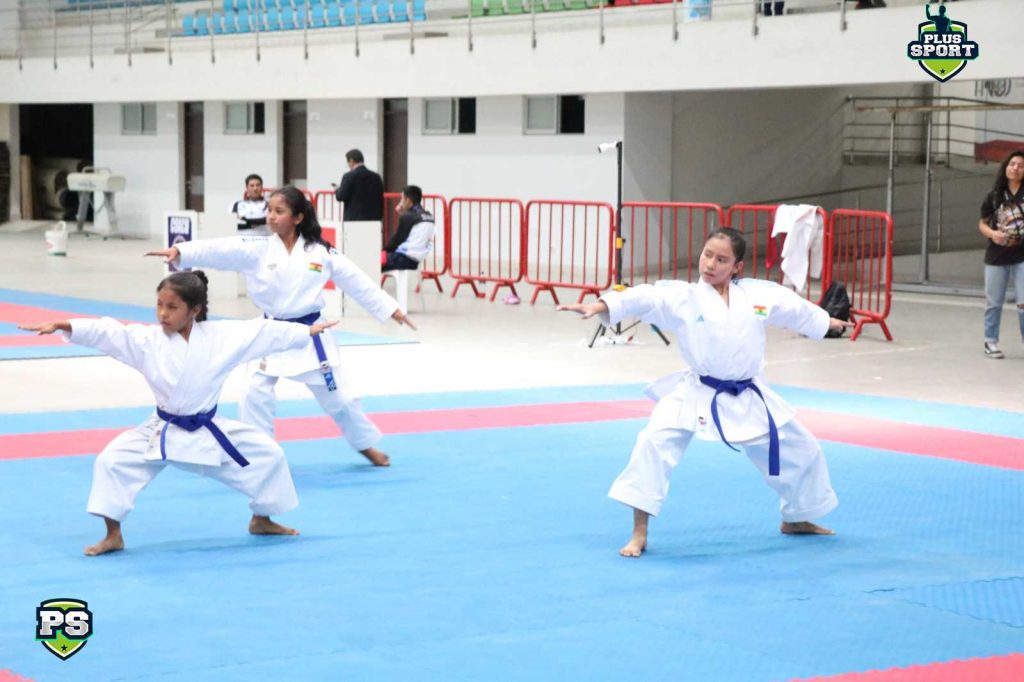 Buen nivel de competencia en el nacional de karate (FOTO: FBK)