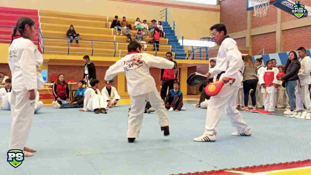Durantel el Festival de Taekwondo: FOTO: PLUS SPORT 
